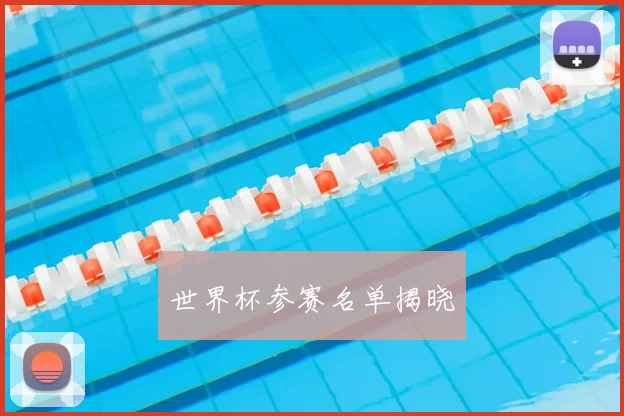 世界杯参赛名单揭晓