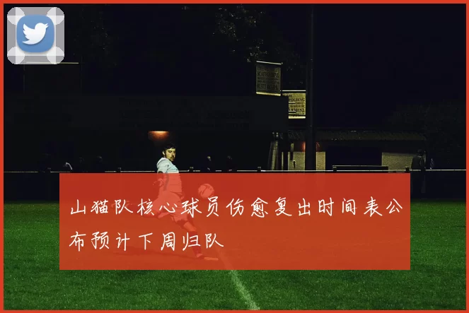 山猫队核心球员伤愈复出时间表公布预计下周归队