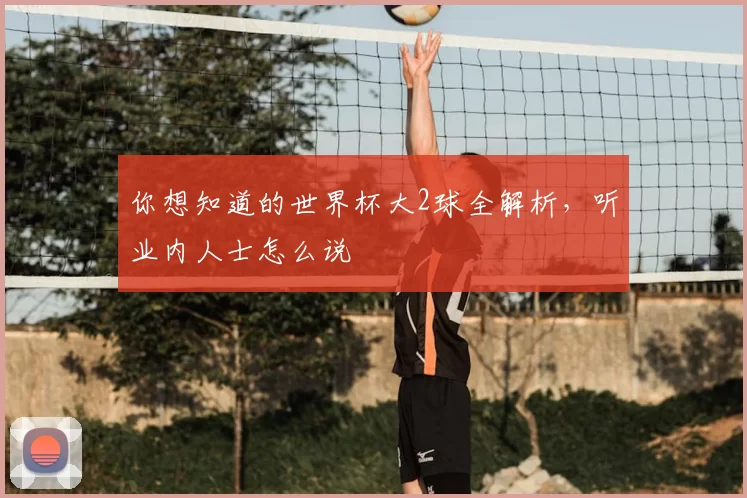 你想知道的世界杯大2球全解析,听业内人士怎么说