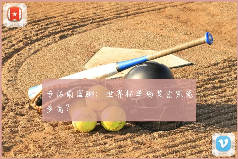 专访前国脚:世界杯单场奖金究竟多高?