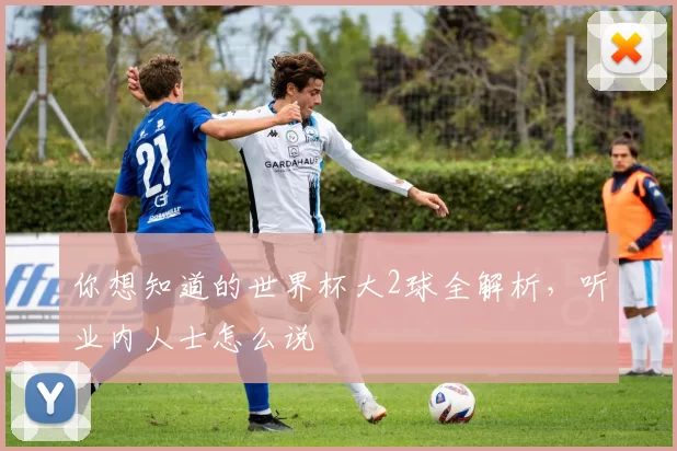 你想知道的世界杯大2球全解析,听业内人士怎么说