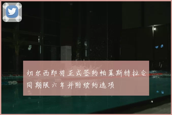 切尔西即将正式签约帕莱斯特拉合同期限六年并附续约选项