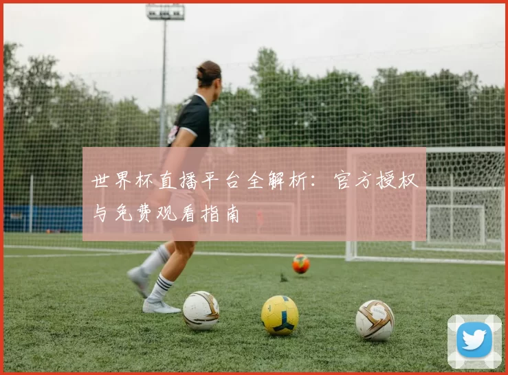 世界杯直播平台全解析:官方授权与免费观看指南