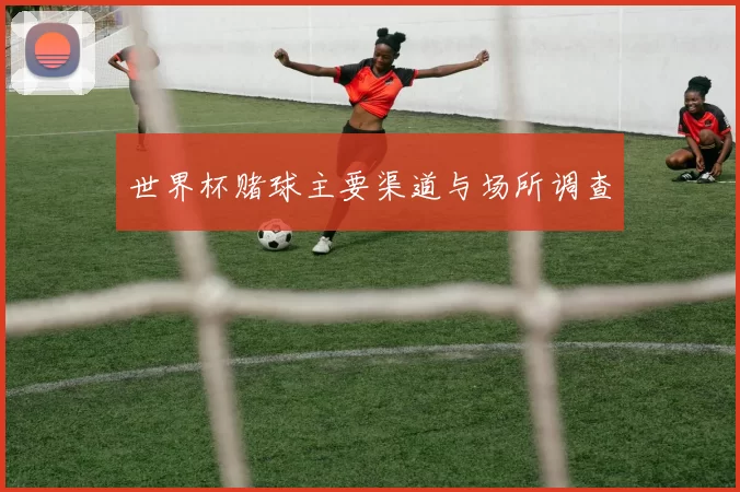 世界杯赌球主要渠道与场所调查