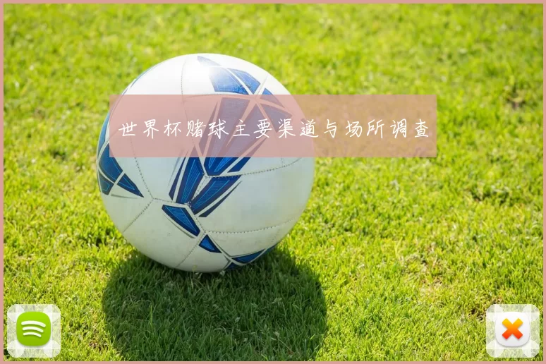 世界杯赌球主要渠道与场所调查