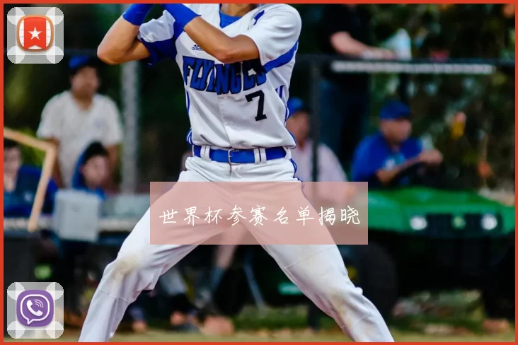 世界杯参赛名单揭晓