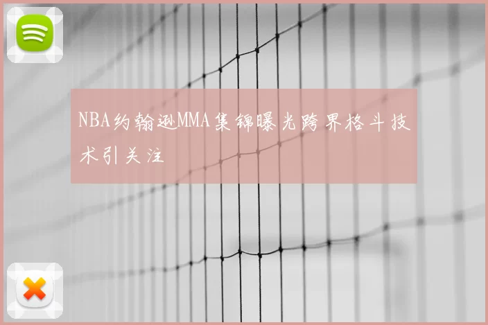 NBA约翰逊MMA集锦曝光跨界格斗技术引关注