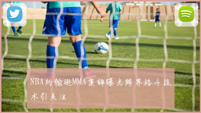 NBA约翰逊MMA集锦曝光跨界格斗技术引关注
