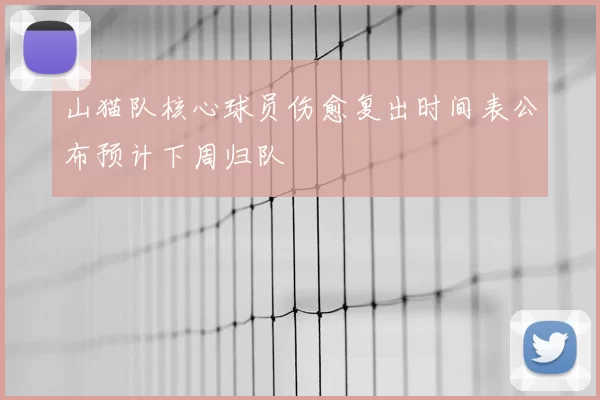 山猫队核心球员伤愈复出时间表公布预计下周归队