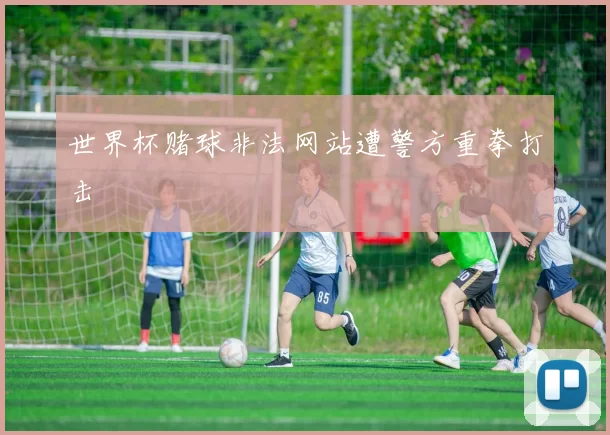 世界杯赌球非法网站遭警方重拳打击